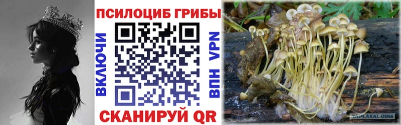 Галлюциногенные грибы ЛСД  мега как зайти  Пикалёво 